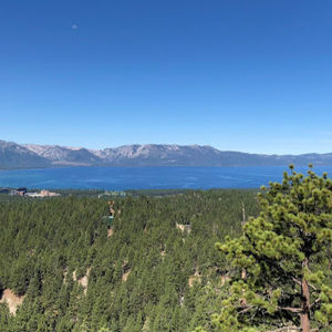 Meet your Posher, Rohan